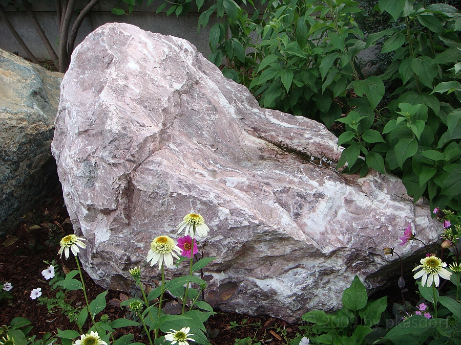 Washington DC [2009 July 03] 055.JPG - Scenes from The Smithsonian Butterfly Habitat Garden